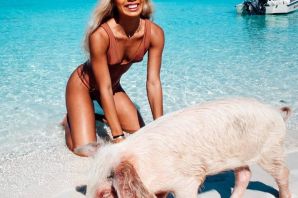 Пляж со свинками на багамах