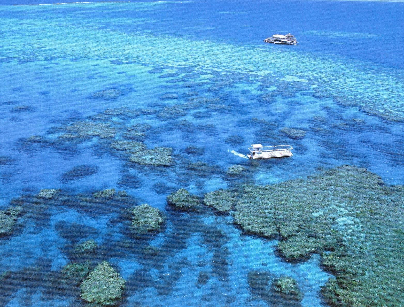 Какой остров расположен у берегов австралии. Большой Барьерный риф Австралия. Коралловый риф в Австралии. Экосистема большой Барьерный риф Австралия. Большой Барьерный риф достопримечательности Австралии.