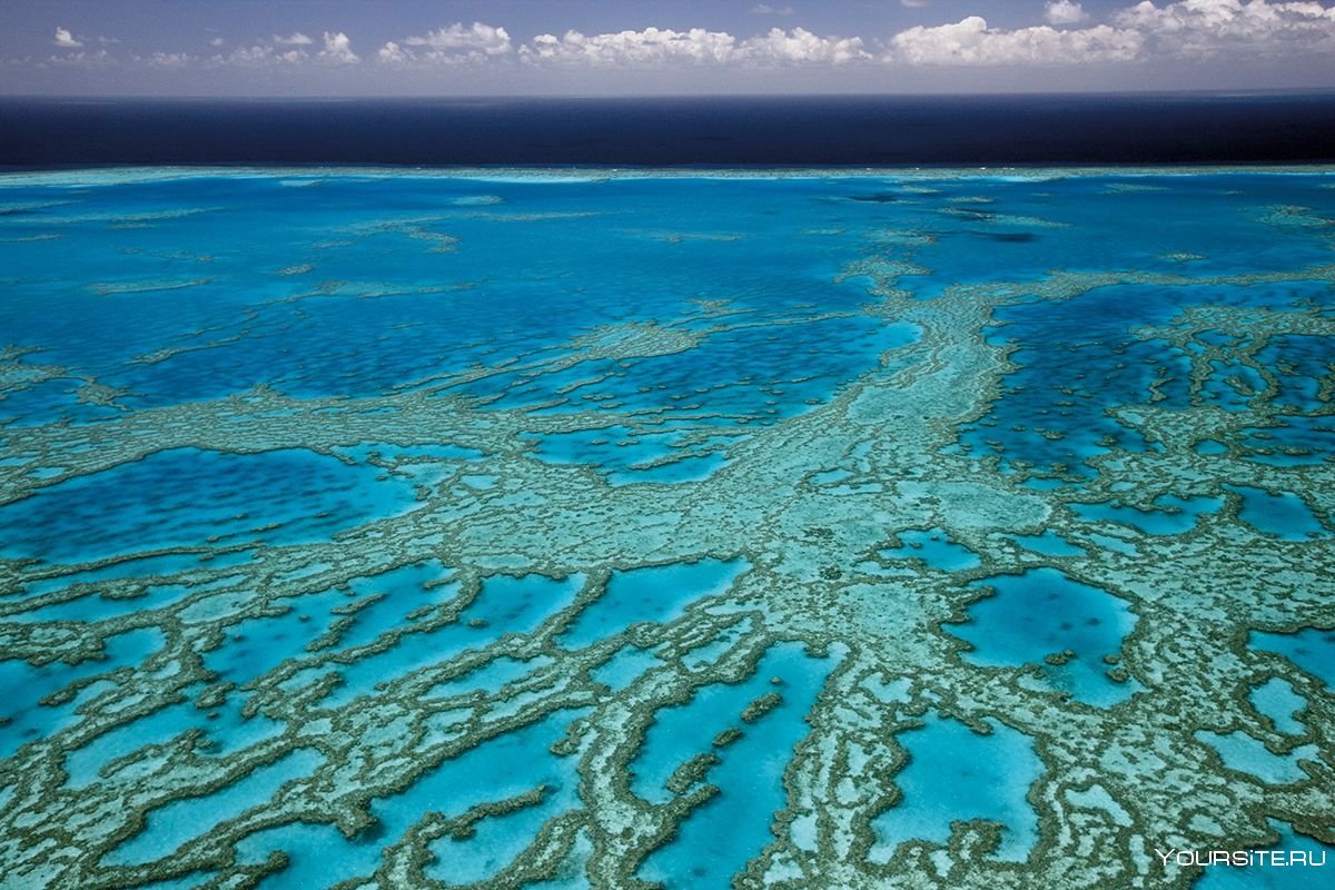 Большой барьерный риф ответ. Австралия Барьерный риф кораллы. Большой Барьерный риф (ББР), Австралия. Большой коралловый риф в Австралии. Большой Барьерный риф в коралловом море.