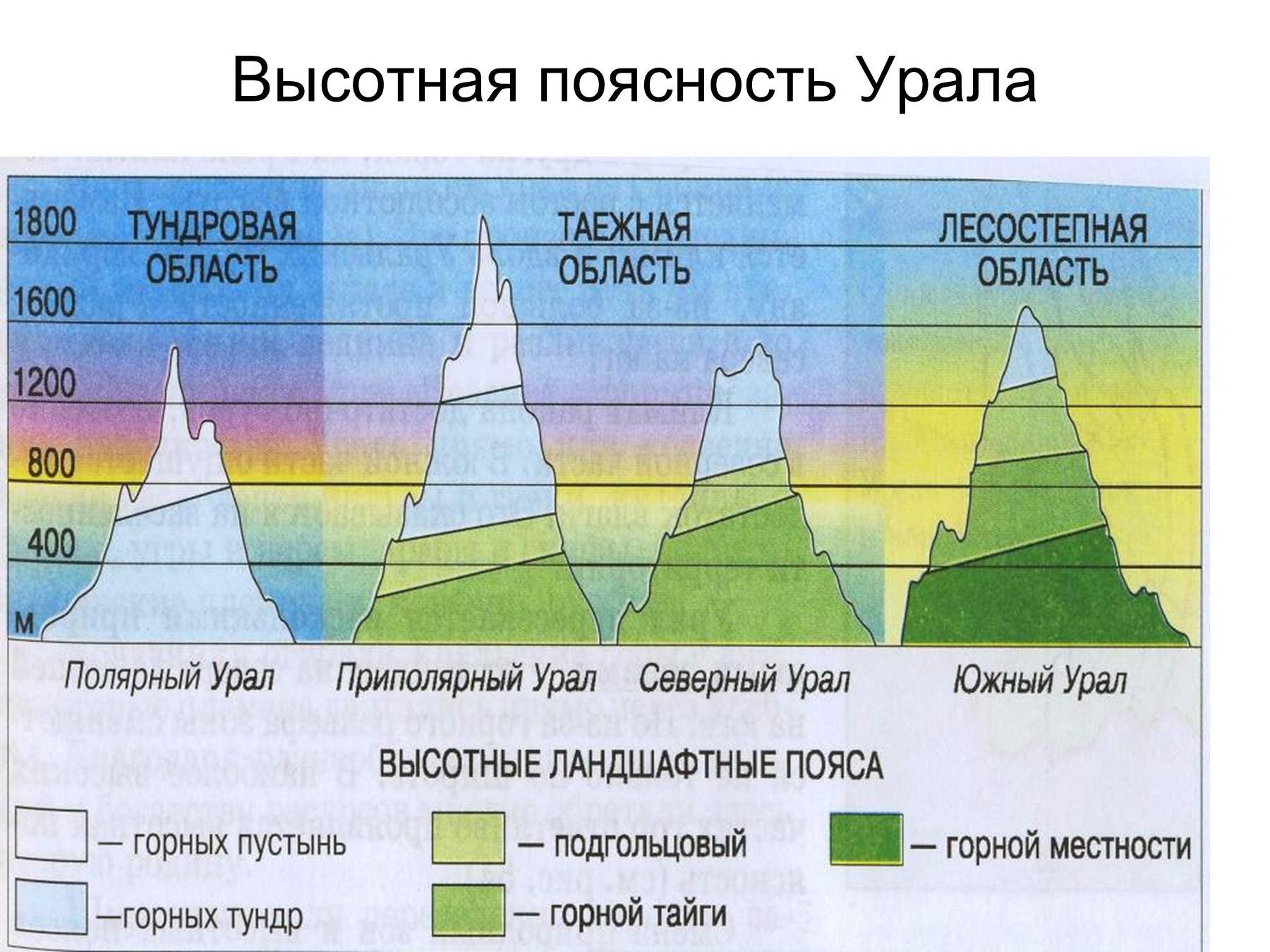 Природные зоны кавказа таблица. Высотная поясность гор Урала. Природные зоны на Урале ВЫСОТНОЙ поясности. Высотная поясность гор Урала таблица. Схема ВЫСОТНОЙ поясности Урала.