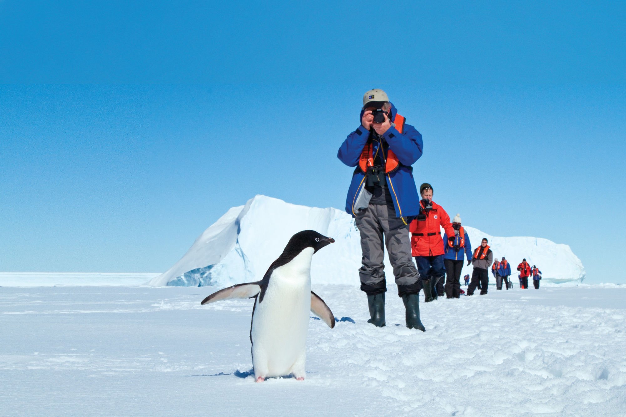 Кусто в антарктиде экспедиция. Калипсо Кусто в Антарктиде. Пингвины и полярники в Антарктиде. Антарктида Экспедиция Пельш.