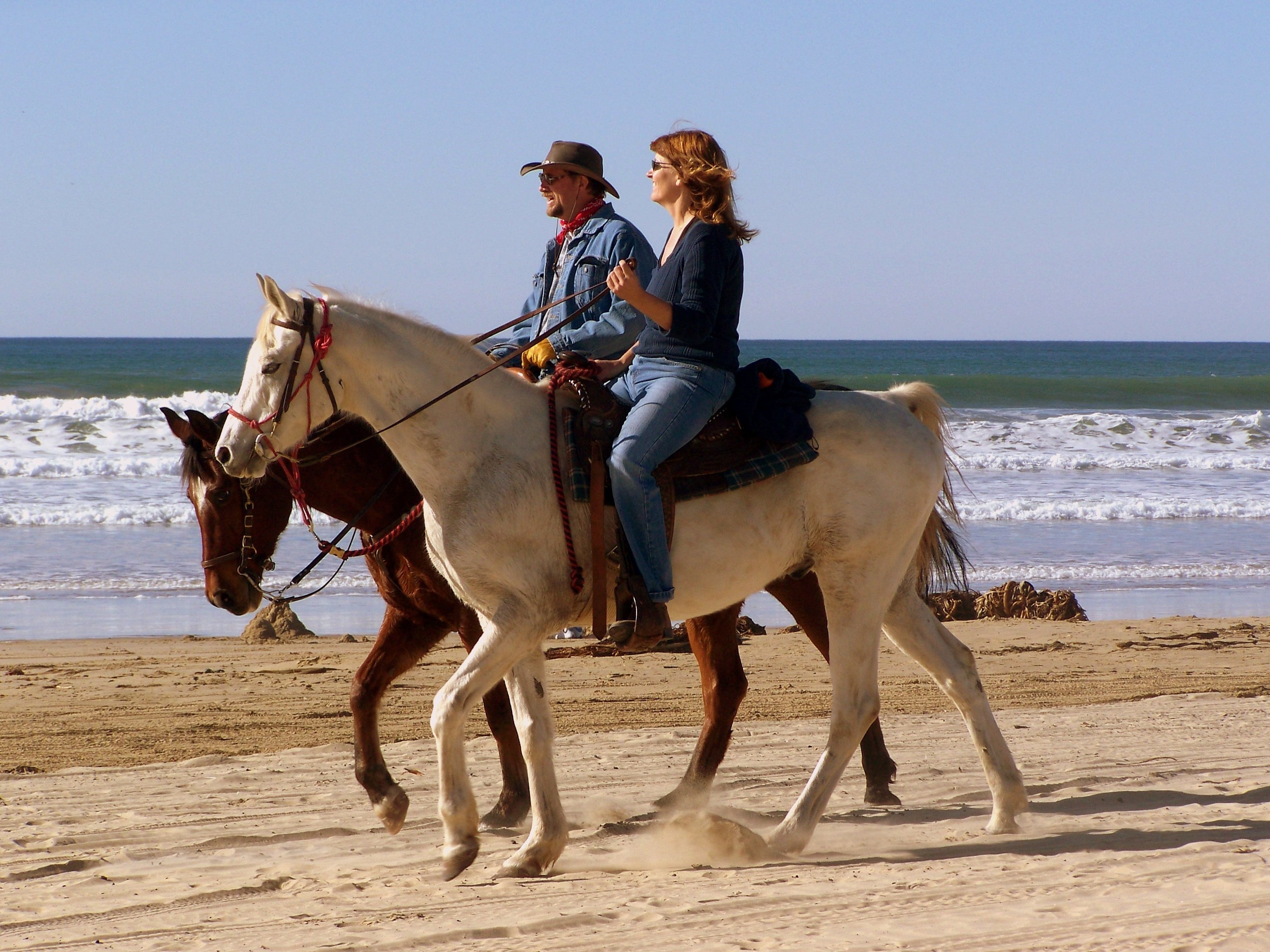 Ride the chariot. Кататься на лошади. Поездка верхом на лошади. Фотосессия с лошадью на пляже. Катание на лошадях вдвоем.