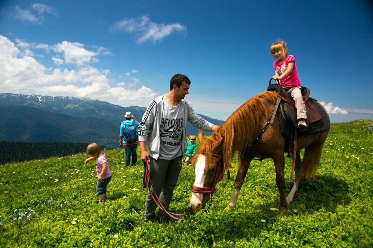 Конные прогулки адлер. Конные прогулки красная Поляна Сочи. Сочи конюшня Идальго. Абхазия конные прогулки в горах.