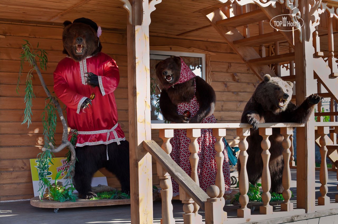 Фотографии 3 медведей. Три медведя горный Алтай. Ая три медведя турбаза. Отель три медведя Алтай. Три медведя туристический комплекс Алтай.