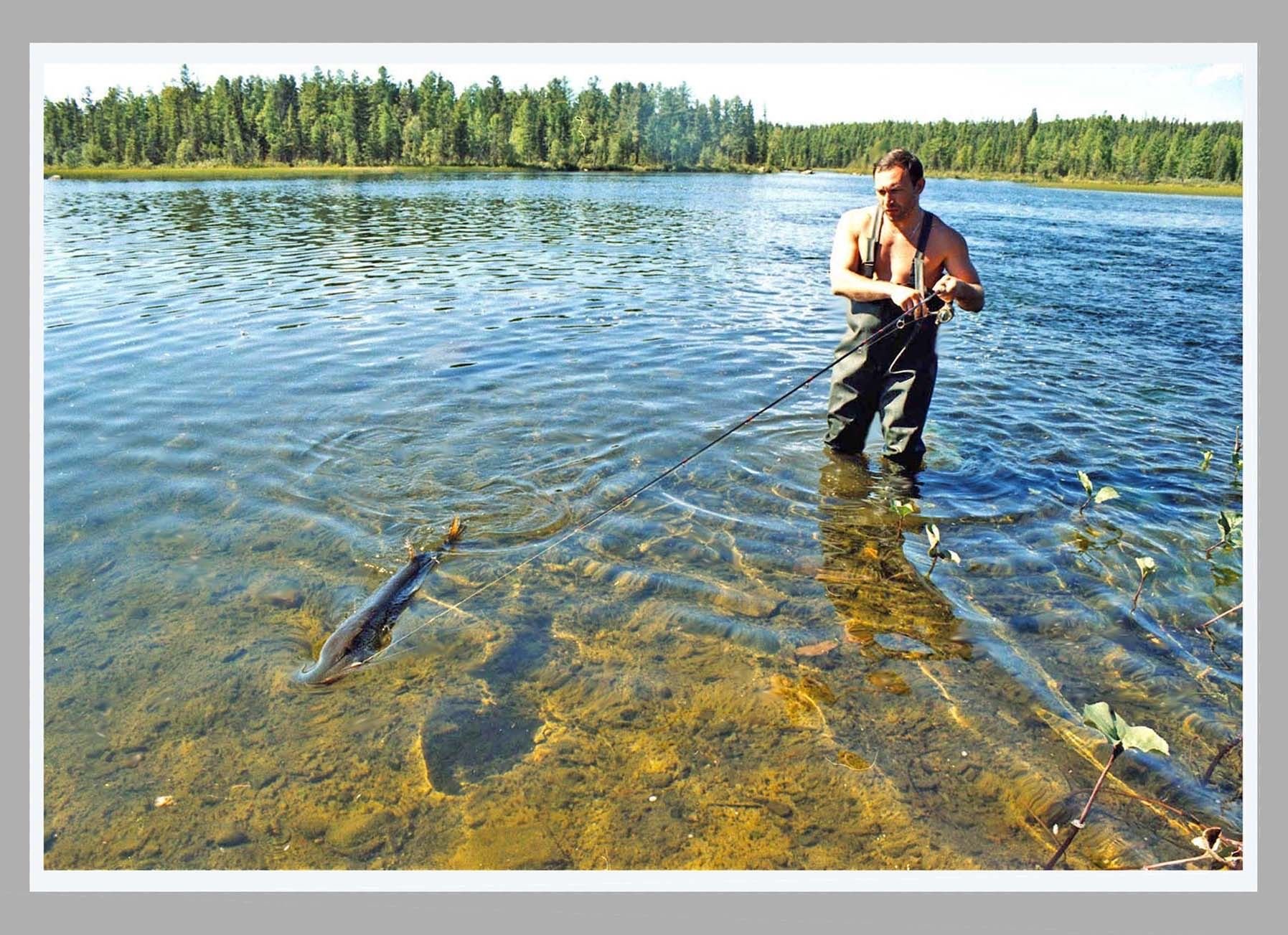 Рыболовный в озерах. Рыбалка на озере. Рыбалка в Сибири. Рыбалка на реках Сибири. Рыба в озере.