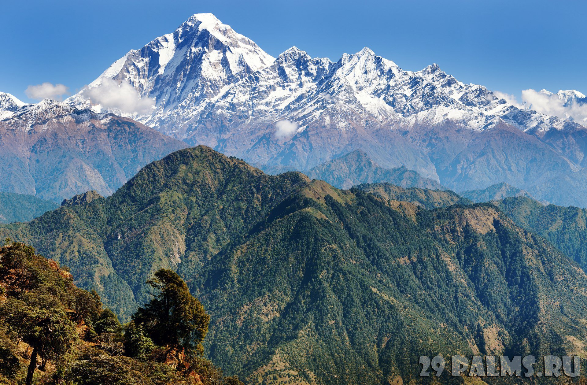 Евразия 46. Дхаулагири Гималаи Непал. Пакистан Гималаи. Горы Азии Гималаи. Тибет Непал бутан Гималаи.