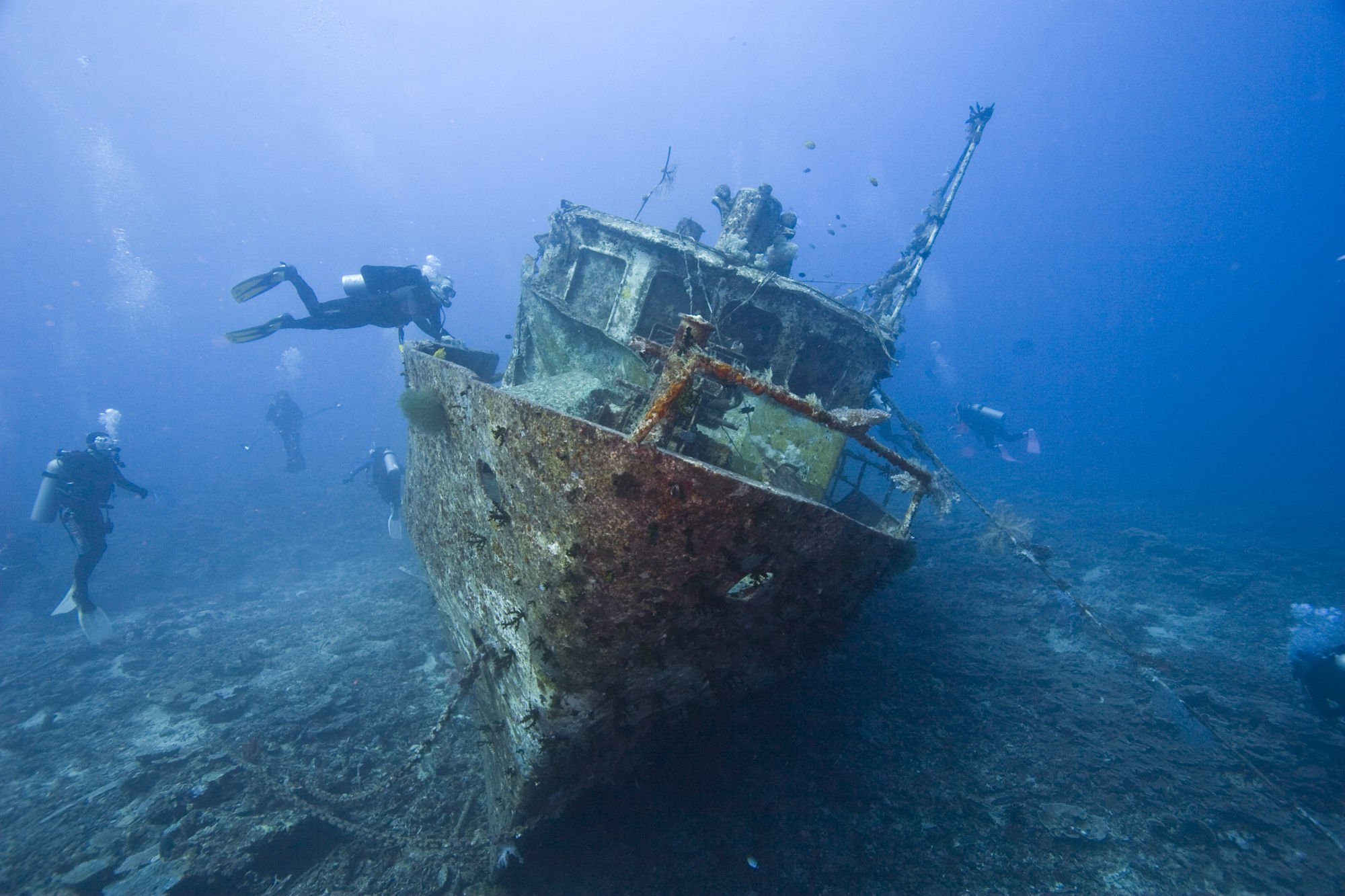 Много лет за годом год из глубин. Саргассово море Бермудский треугольник. Затонувший корабль в Анапе в чёрном море. Карибское море Бермудский треугольник. Саргассово море Бермудский треугольник на глубине.
