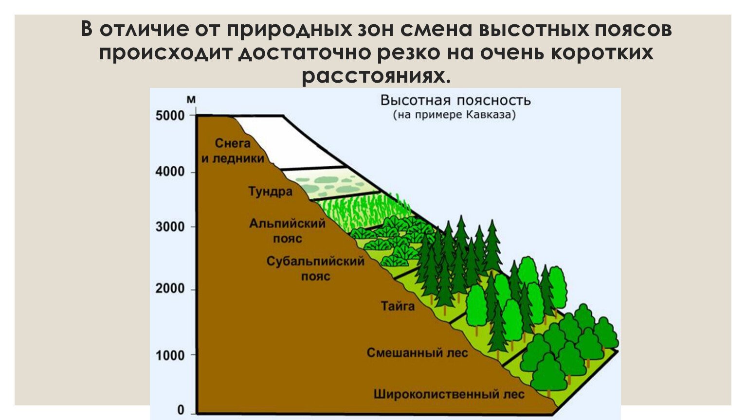 Объяснить различия структуры высотной поясности. Природные зоны России Высотная поясность. Субтропики Высотная поясность. Широтная зональность Выстоной полярности. Высотная поясность географический пояс.