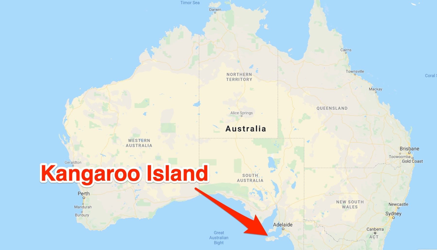 Остров австралии 7. Где находится остров кенгуру на карте Австралии. Остров кенгуру в Австралии на карте. Остров кенгуру на контурной карте Австралии. Остров конгуе на карте.
