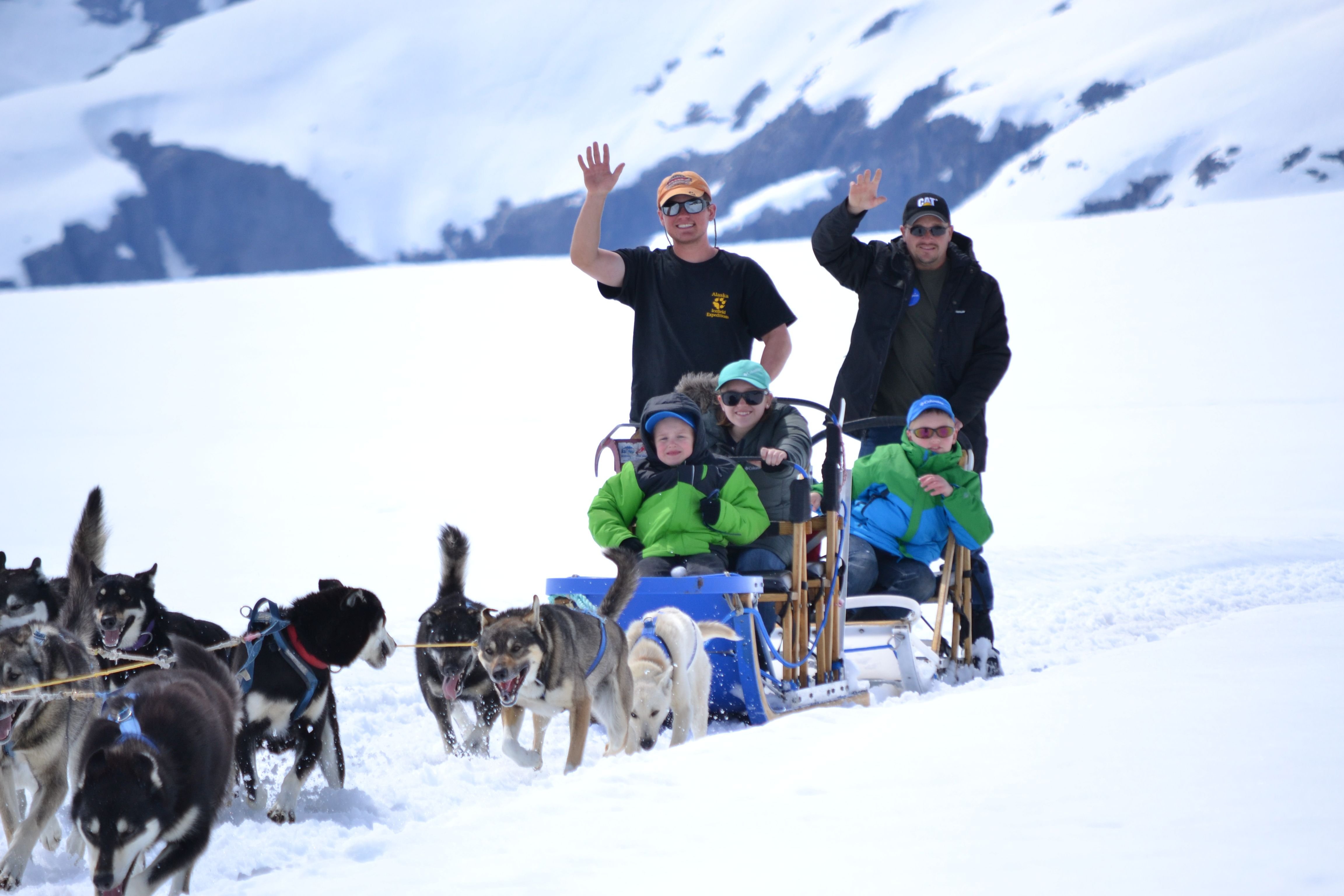 Упряжка на аляске. Dog sledding in Alaska. Аляска туризм. Путешествие на Аляску. Экскурсия по Аляске.