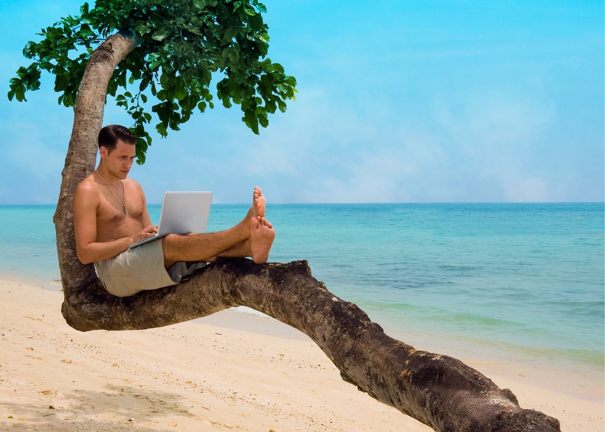 Расслабленный отдых. Человек отдыхает. Мужчина под пальмой. Человек с ноутбуком на море. Под пальмой.