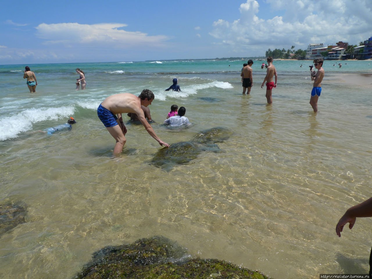 Унаватуна пляж с черепахами. Хиккадува Черепаший пляж. Унаватуна Черепаший пляж. Хиккадува пляж с черепахами. Хиккадува Шри Ланка Черепаший пляж.