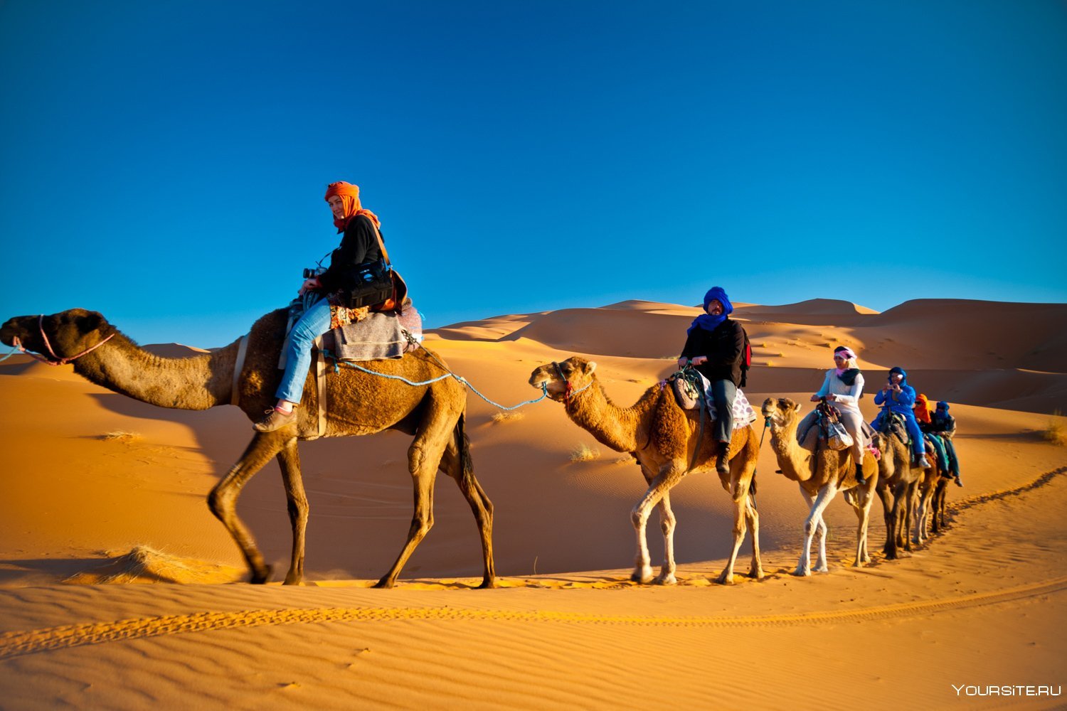 Караван путешествий. Сафари Хургада. Верблюд в пустыне. Путешествие на верблюдах. Катание на верблюдах.
