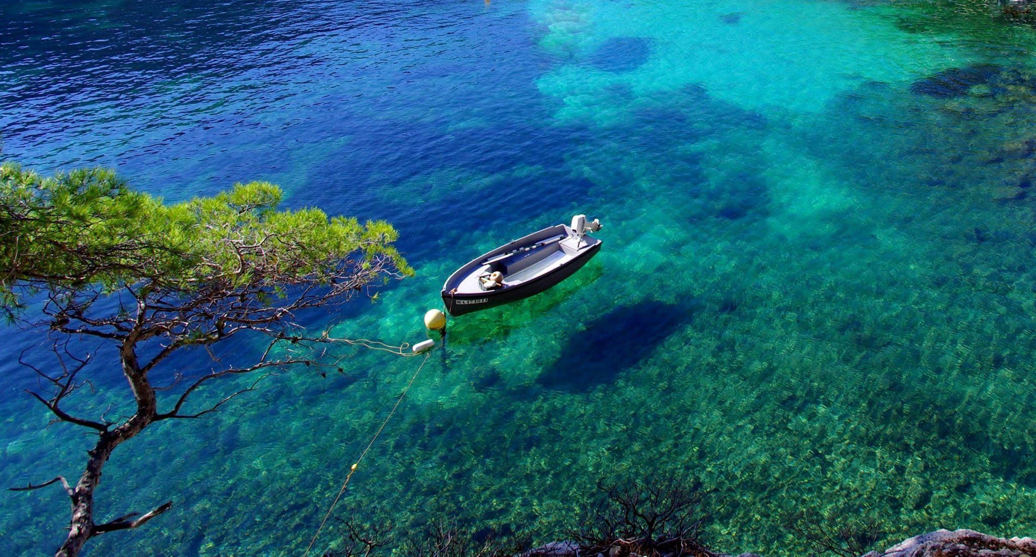 В прозрачной воде снуют. Мальдивы голубая Лагуна. Саргассово море Бермудский треугольник. Прозрачная вода. Прозрачная вода море.