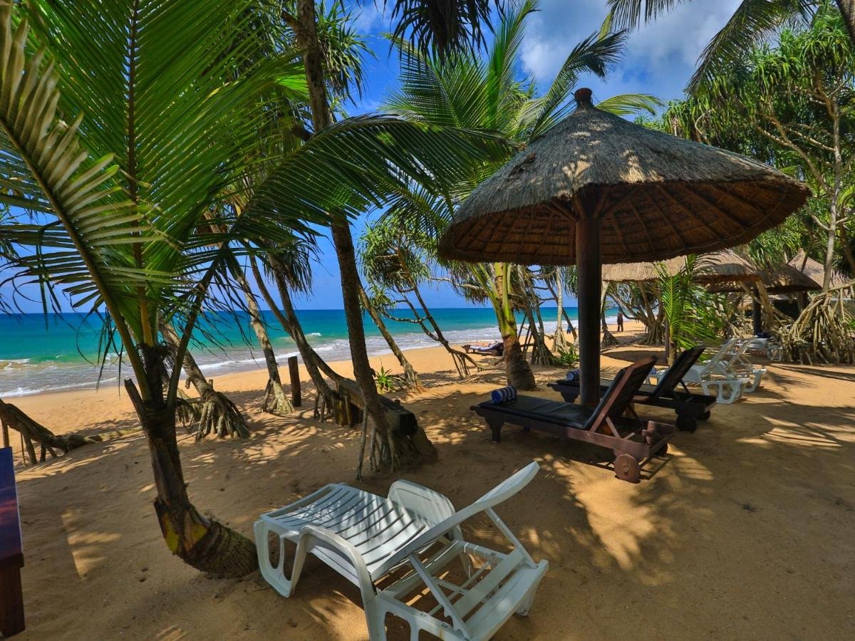 The coastal village cabanas. Пляж Индурува Шри Ланка. Отель Бентота Бич Шри Ланка. The Coastal Village Cabana 3 Шри Ланка. Пляж Бентота Шри Ланка.
