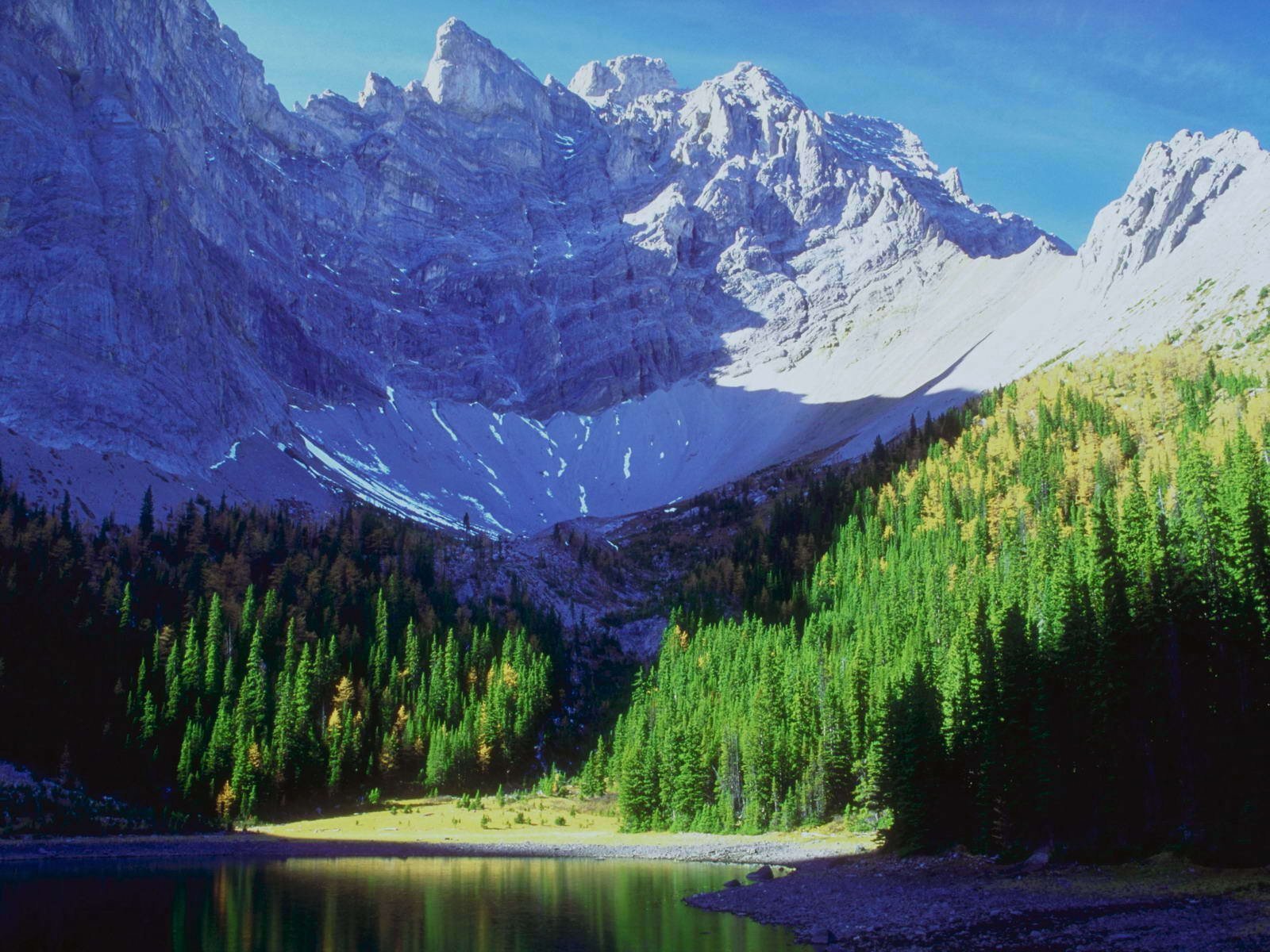Живые организмы в горах. Горы. Природа география. Горное озеро. У подножия горы.