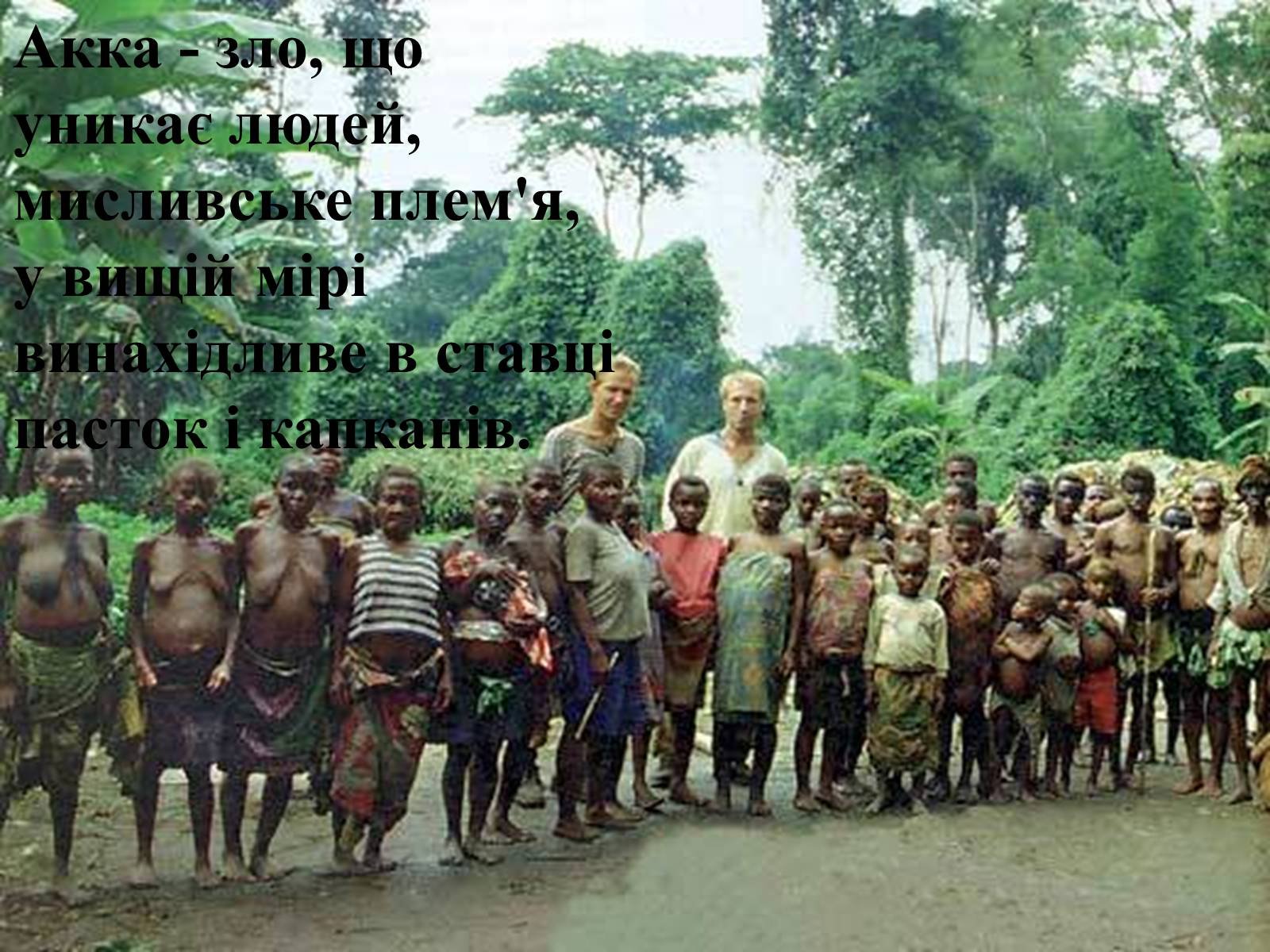 Житель экваториальной африки. Пигмеи народ Африки. Нилоты и пигмеи. Племя пигмеев.