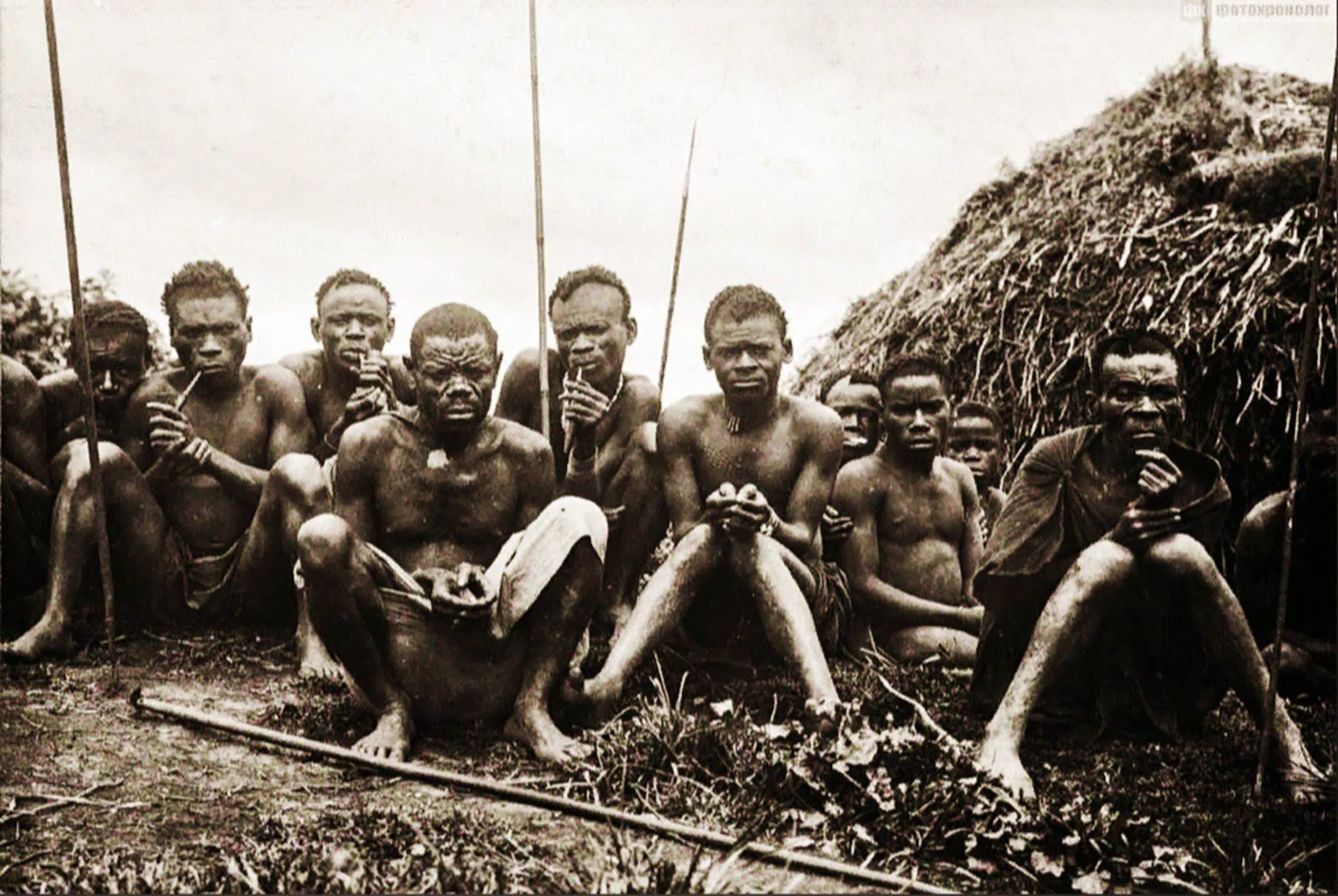 Бельгийское Конго колонизатор. Бейгильские колонизаторы в Конго. Конго 20 век. Племя 6 ик