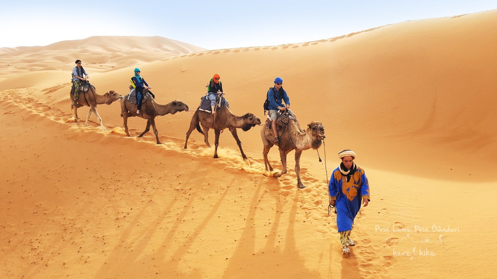 Люди каравана. Марокко Караван. Марокко туареги Караван. Верблюд Караван пустыни. Караван верблюдов в пустыне.