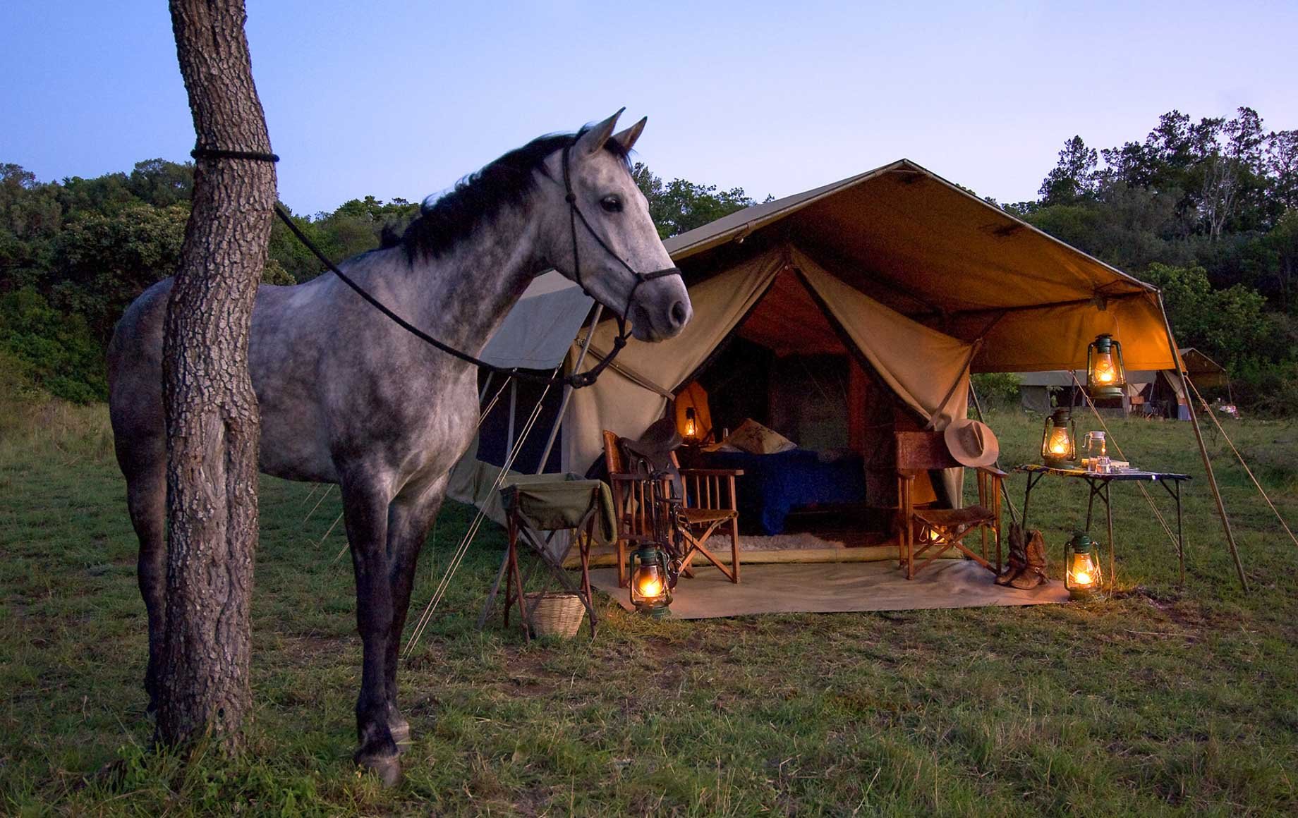 Riding camp. Лошадь возле дома. Домик для лошадки. Лошадь в палатке. Домик в лесу с лошадьми.