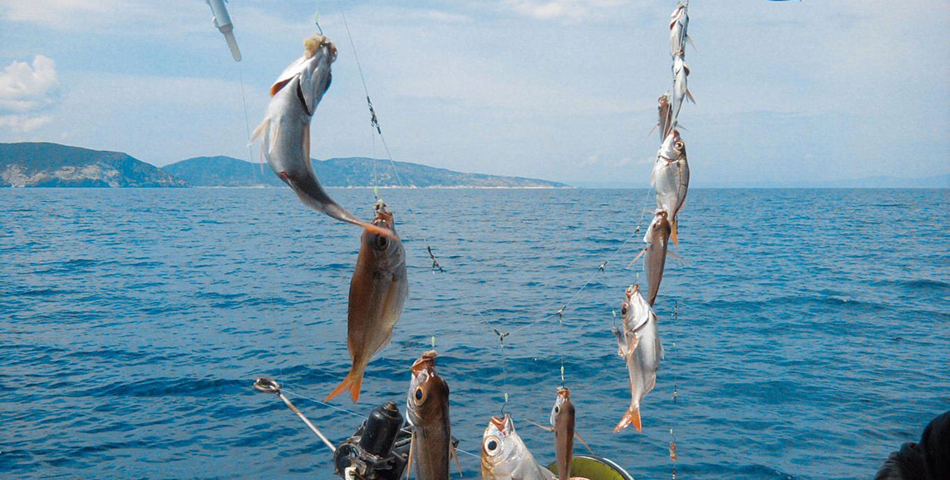 Ловим рыбу в крыму. Морская рыбалка Гурзуф. Морская рыбалка Аквамарин Крым. Морская рыбалка в Кабардинке. Черноморская рыбалка черное море.
