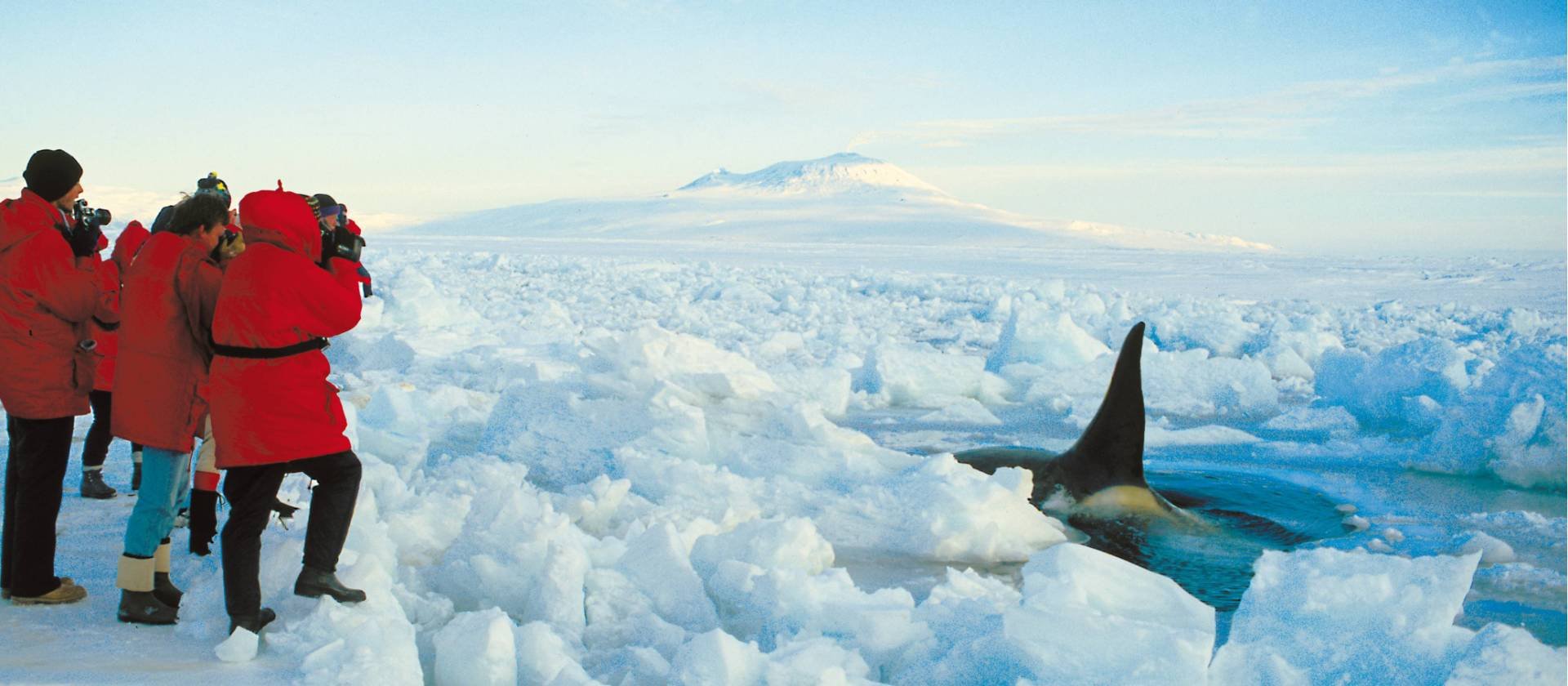 Путешествие в антарктиду. Население Антарктики. Люди в Антарктике. Антарктика что там. Как спасти Antarctica.