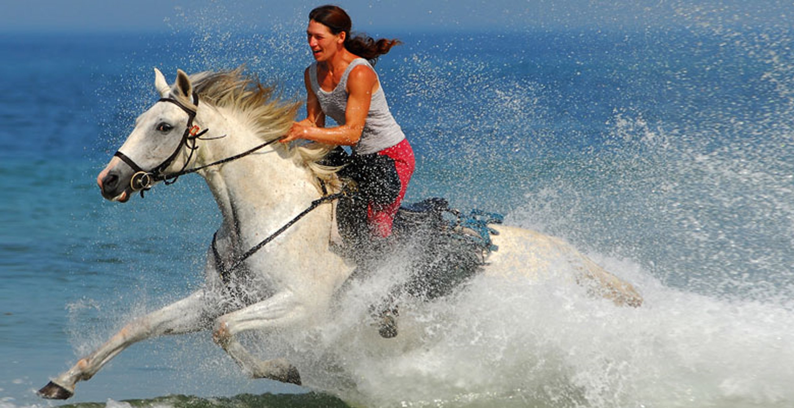 Проскачу на коне. Фотосессия с лошадью на море. Девушка на лошади по берегу. Девушка на лошади вдоль моря. Девушка скачет на лошади по берегу.
