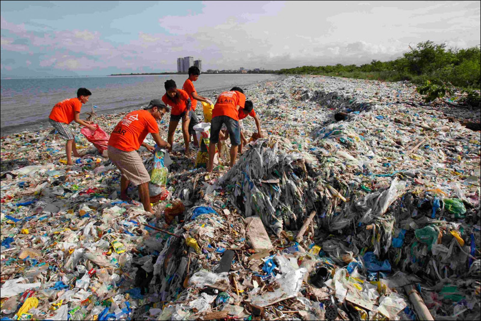 Засорять природу. Экология моря. Загрязнение морей и океанов. Экология морей и океанов.