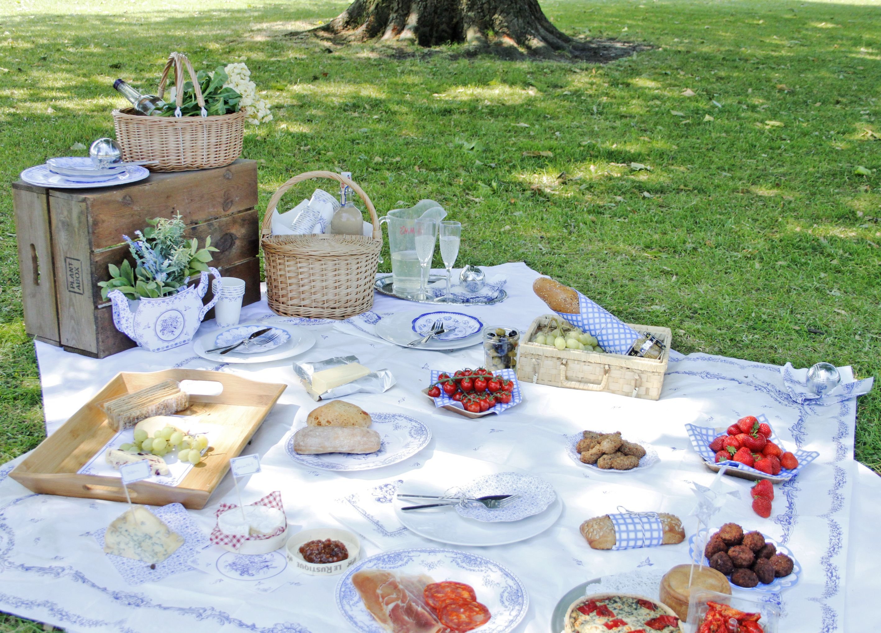 Пикник тема. Одноразовая посуда для пикника. Одноразовая посуда на природе. Красивый стол на пикнике. Пикник в греческом стиле.