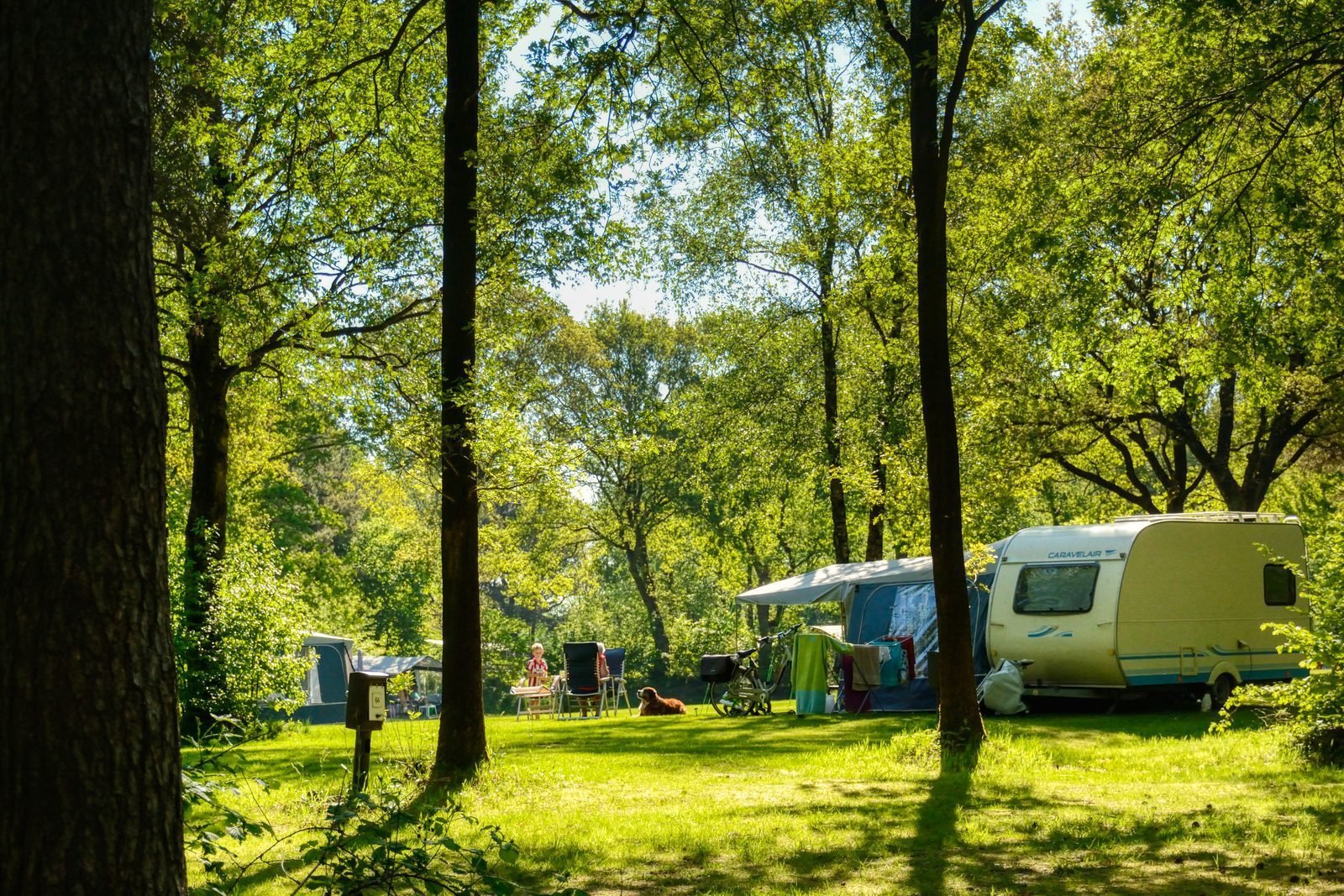 Camping space