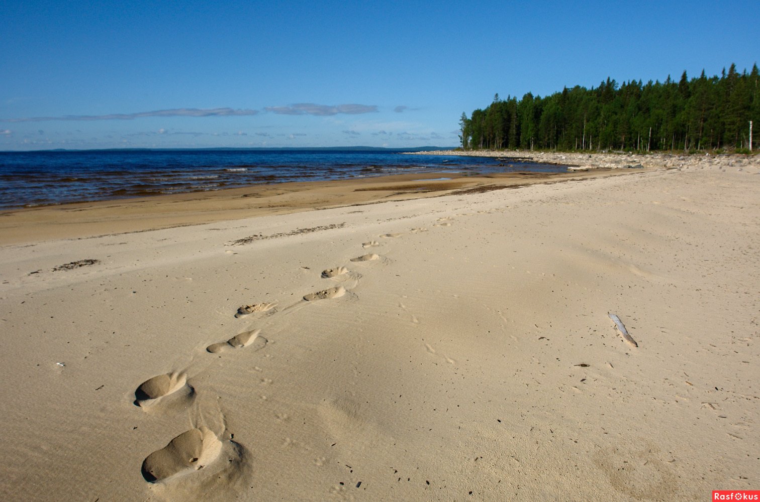 пляж пески петрозаводск