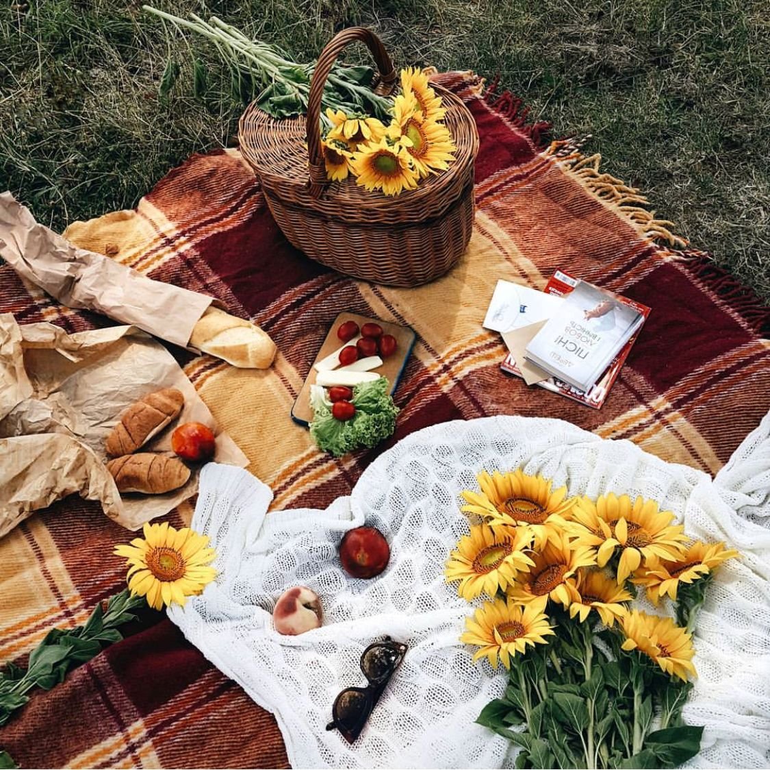 Пикник на донбассе. Осенний пикник на природе. Фотосессия пикник на природе. Осенний пикник фотосессия. Завтрак на природе пикник.