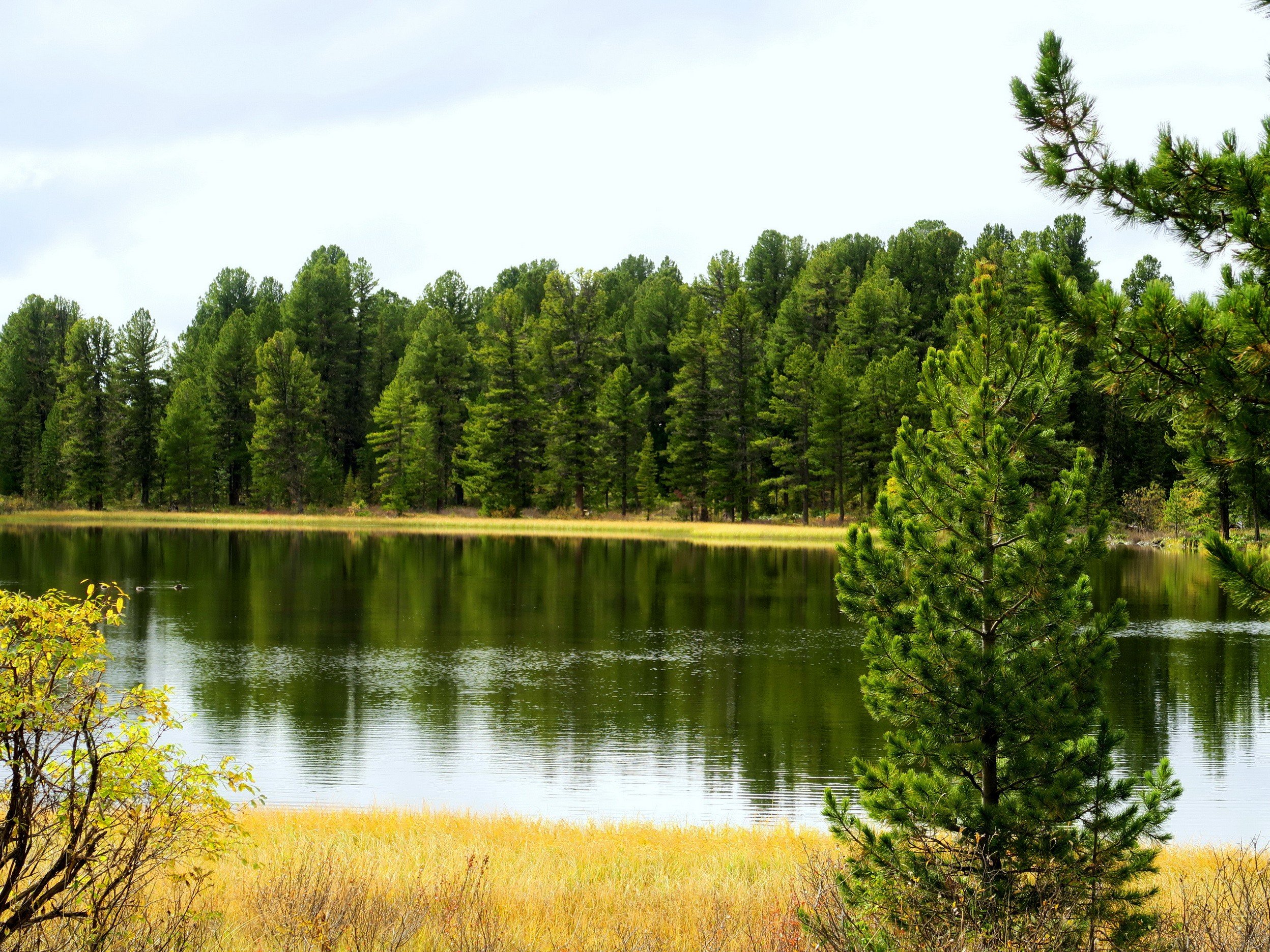 Каракольский национальный парк. Озера средней полосы. Парк Валдайский жемчужину средней полосы. Озеро тура. Озера средней европы