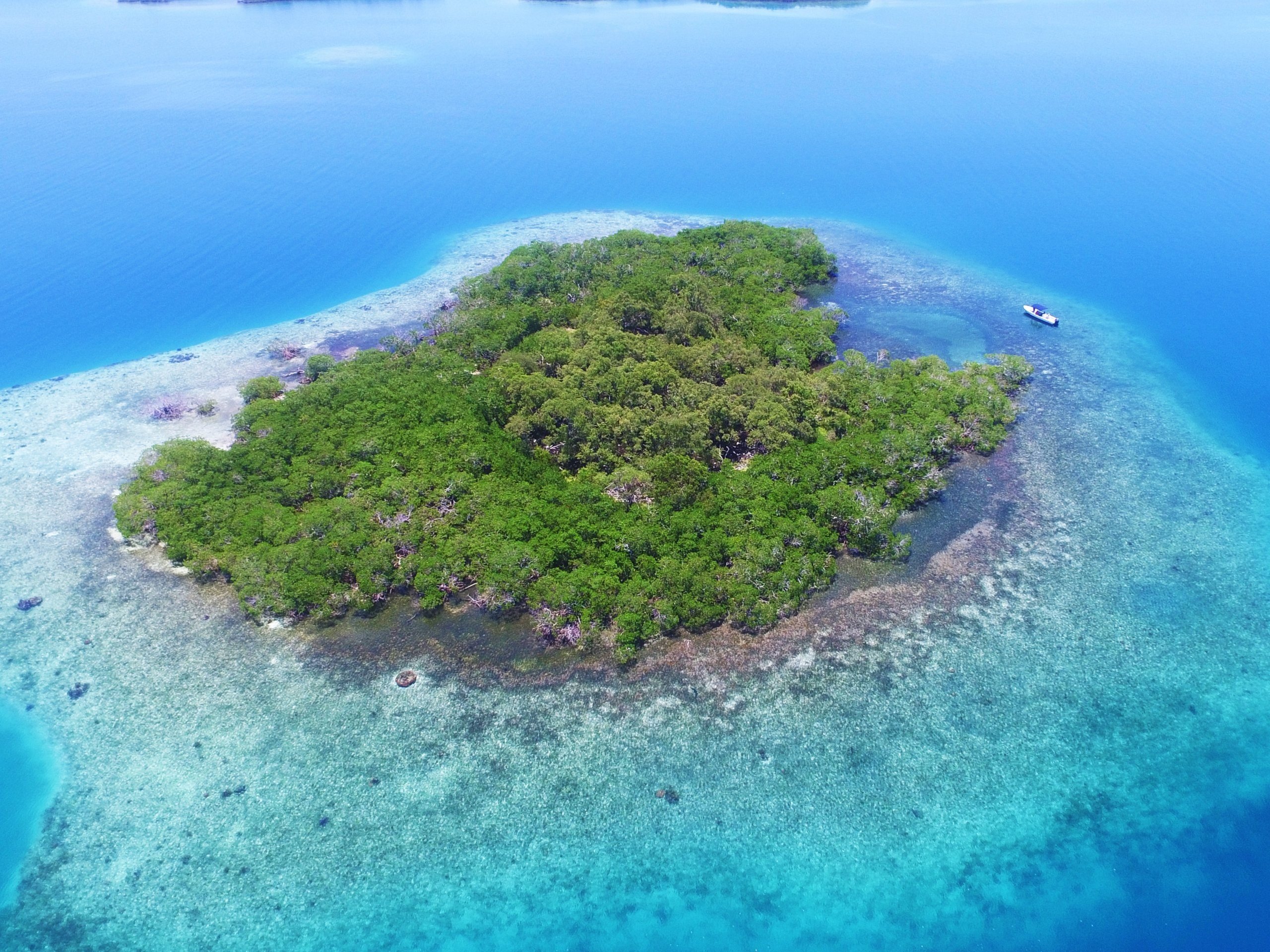Just island. Остров. Частный остров в Карибском море. Маленький остров. Райские острова в тихом океане.