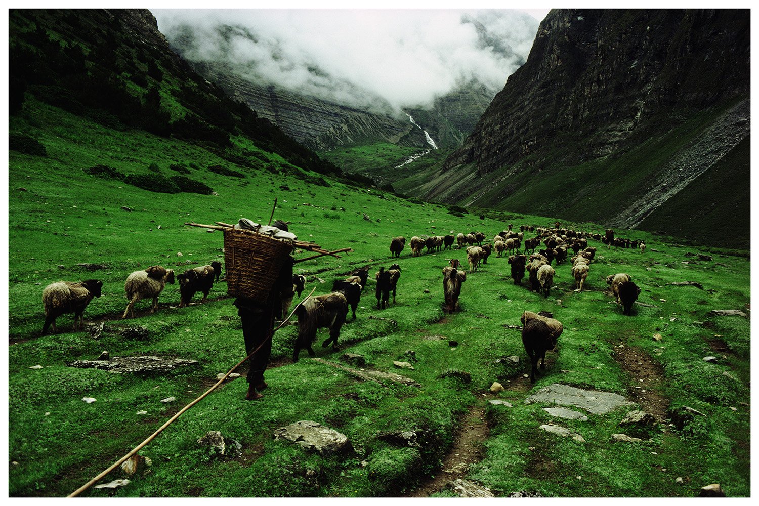 Быт людей в горах кратко. Люди живущие в горах. Жизнь в горах Кавказа. Жизнь людей живущих в горах. Народы живущие в горах.