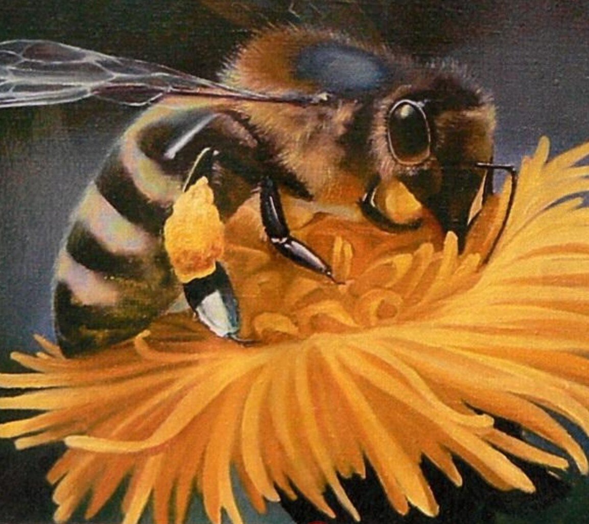 Нектар рисунок. Пчела. Пчела живопись. Шмель живопись.