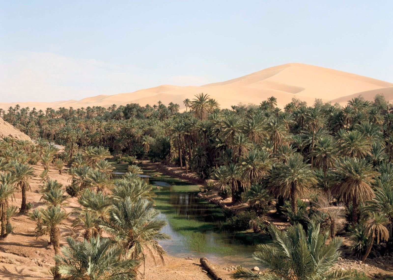 Крупнейший оазис. Пустыня сахара Оазис. Пустыни Аравийского полуострова Оазис. Египет Оазис сад. Ливия сахара Оазис.