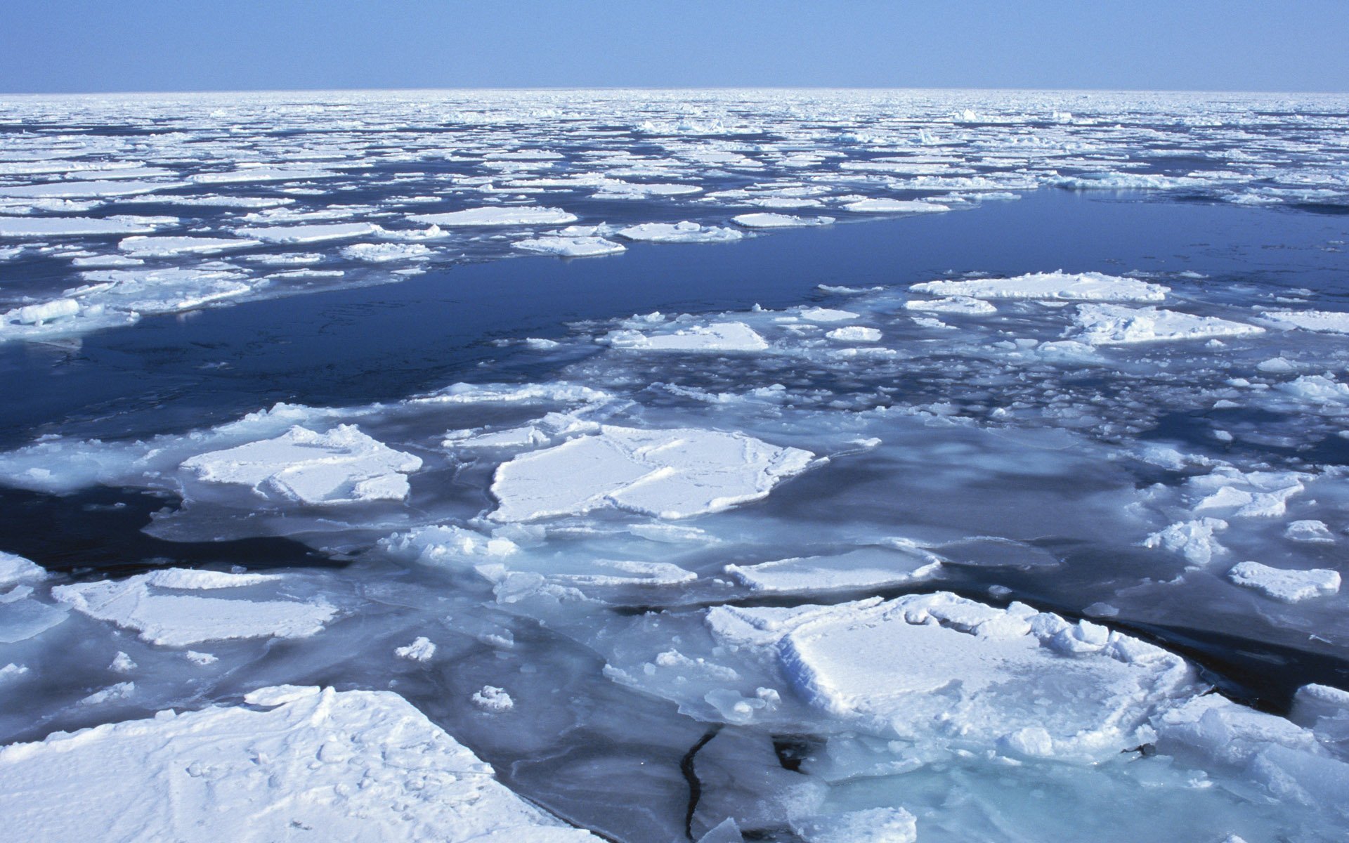 Северный океан видео. Северный Ледовитый океан Восточно-Сибирское море. Море Лаптевых ледяной Покров. Северно Ледовитый океан море Лаптевых. Льдина в море.