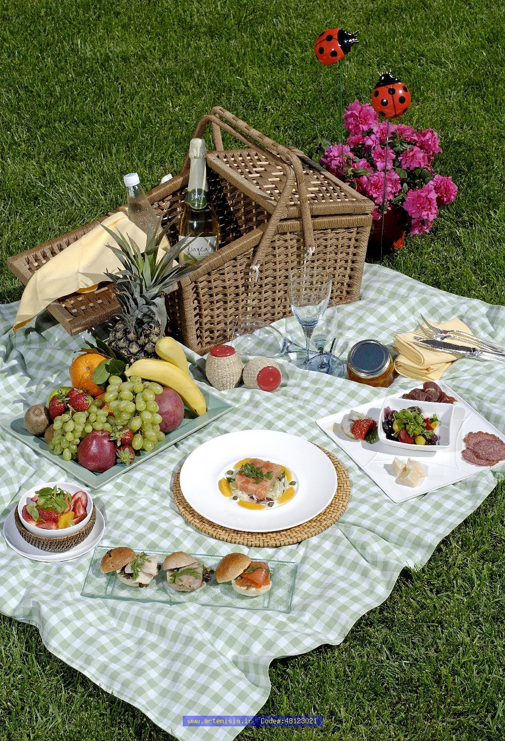 Где можно устроить пикник. Стол с едой на природе. Сервировка стола на пикнике. Красивый пикник на природе. Накрытый стол на природе.