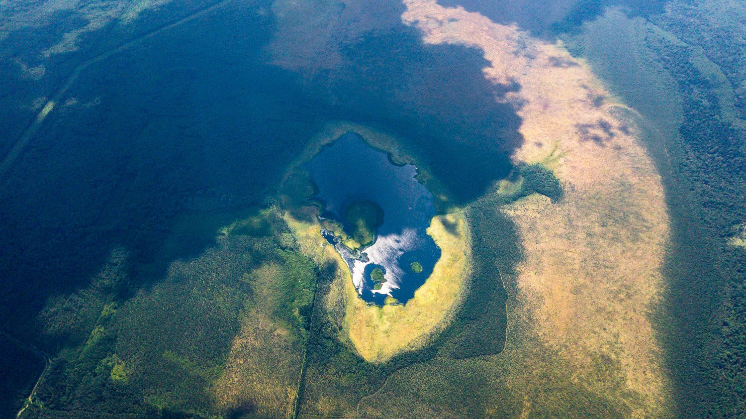 Пестрое озеро. Озеро Вяжицкое. Озеро Вяжицкое Великий Новгород. Круглое озеро с круглым островом. Озеро с плавающим островом.
