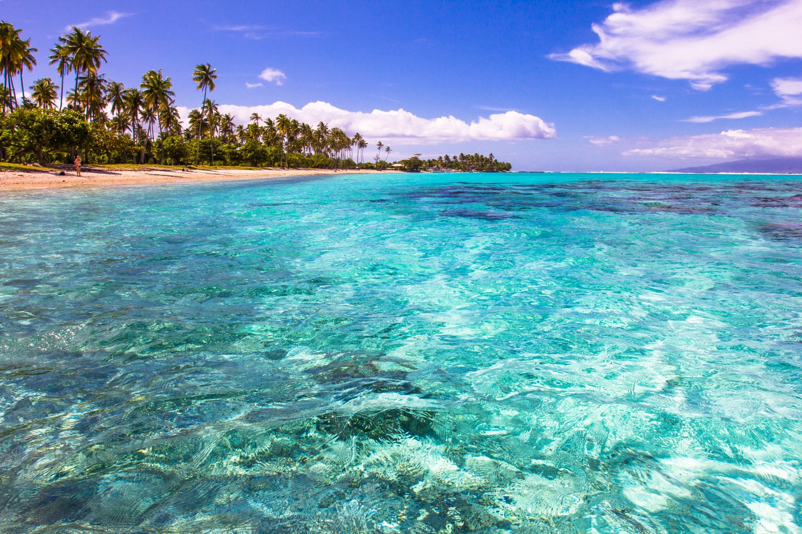 Blue coast. Карибское море голубая Лагуна. Голубая Лагуна Багамы. Океанская Лагуна. Лазурная Лагуна.